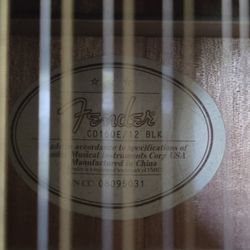 12 String Acoustic Guitar