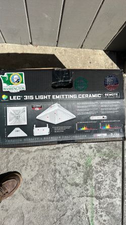 5 lights