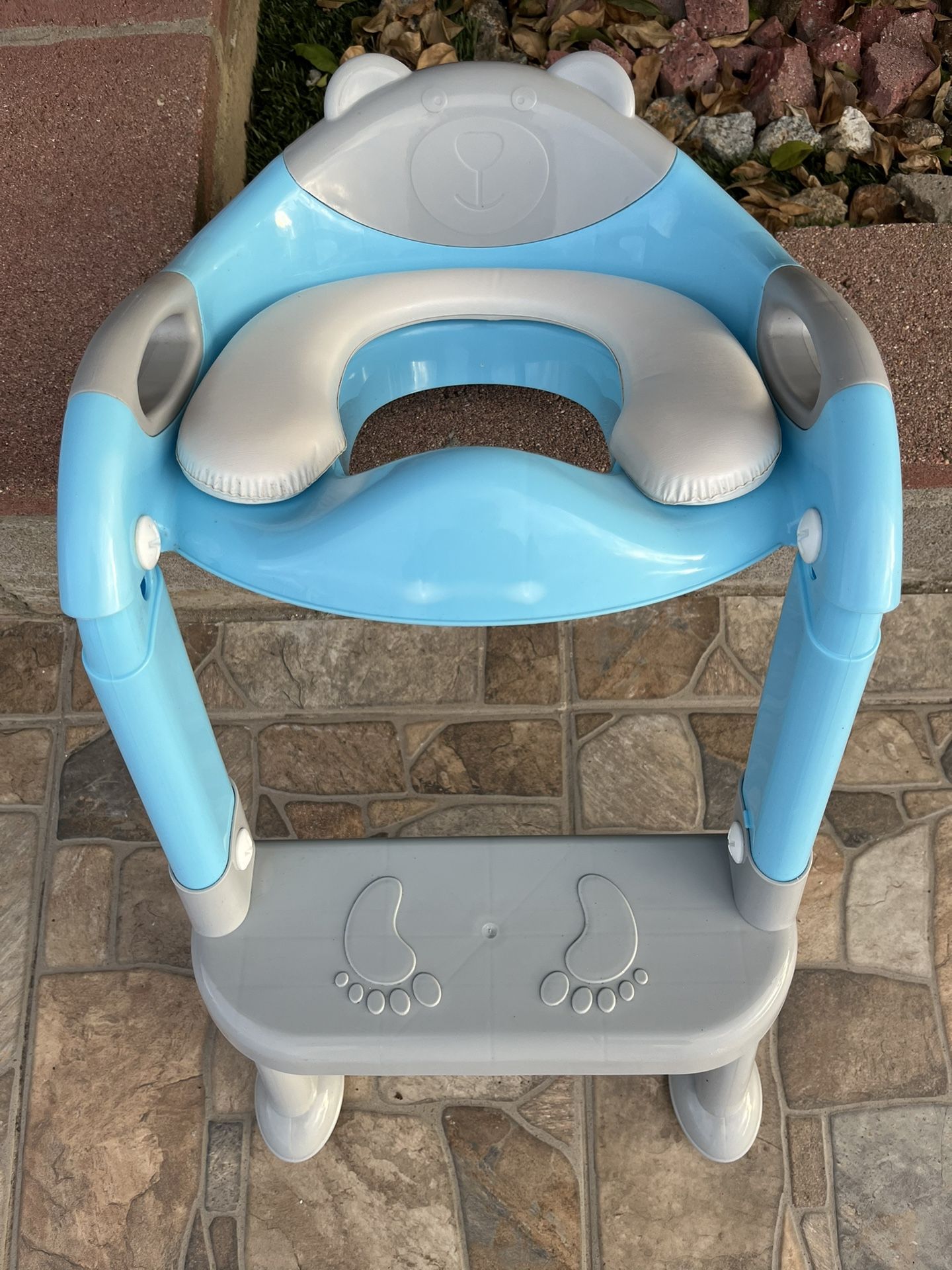 Potty Training Seat