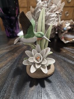 Hummingbird Birds In Flight Collection 