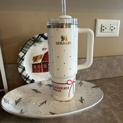 Target Exclusive Christmas “Frost Polka Dot” Stanley 30oz