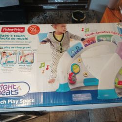 Fisher Price Smart Touch Play place 