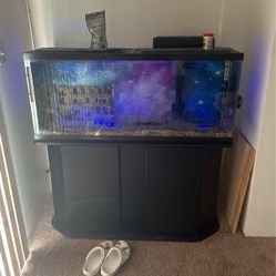 55 Gallon Fish Tank 