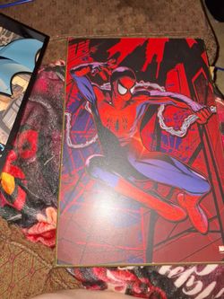 Spiderman wall picture