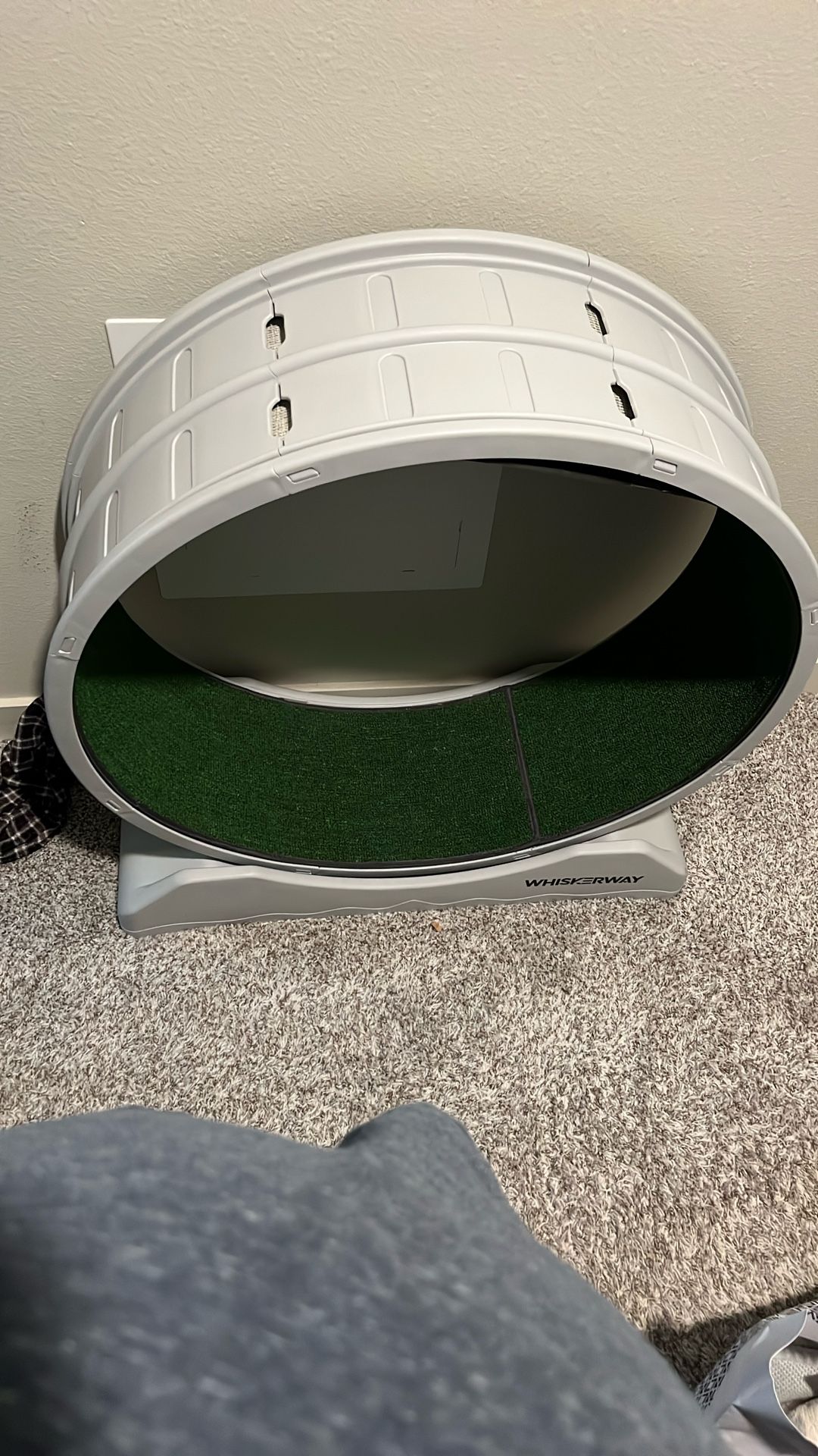 Cat wheel/trademill - Like New!