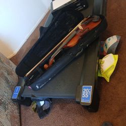 Violin....
