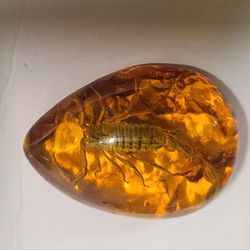 Beautiful Resin Scorpion Figurine 