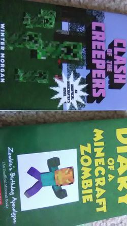 Set of 2 Minecraft chapter books