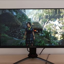 Acer monitor 