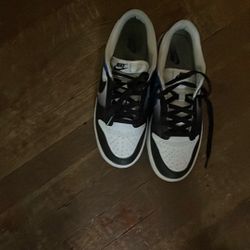 Nike Dunks Slightly Used