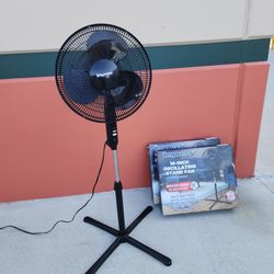 16in Oscillating Fan