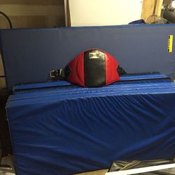 Martial Arts/ Wrestling mats