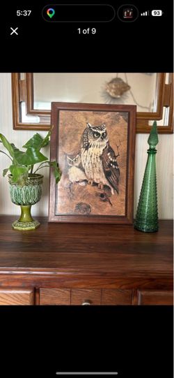Vintage 1970’s Richard Hinger Screech Owl Print on Wood