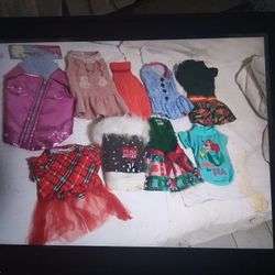 DOG SMALL SIZE DRESS .  JACK $3.00 EACH