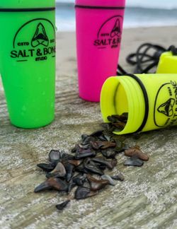 Shark Tooth Fossil Waterproof Floating Container 