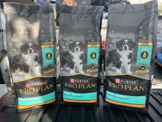 Dog food