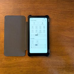 Boox Palma With Case 