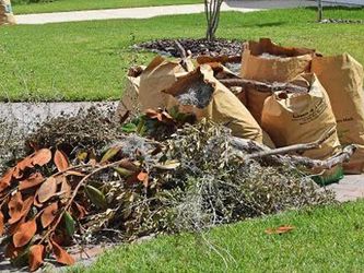 Need trash removed or your yard done we charge by the job