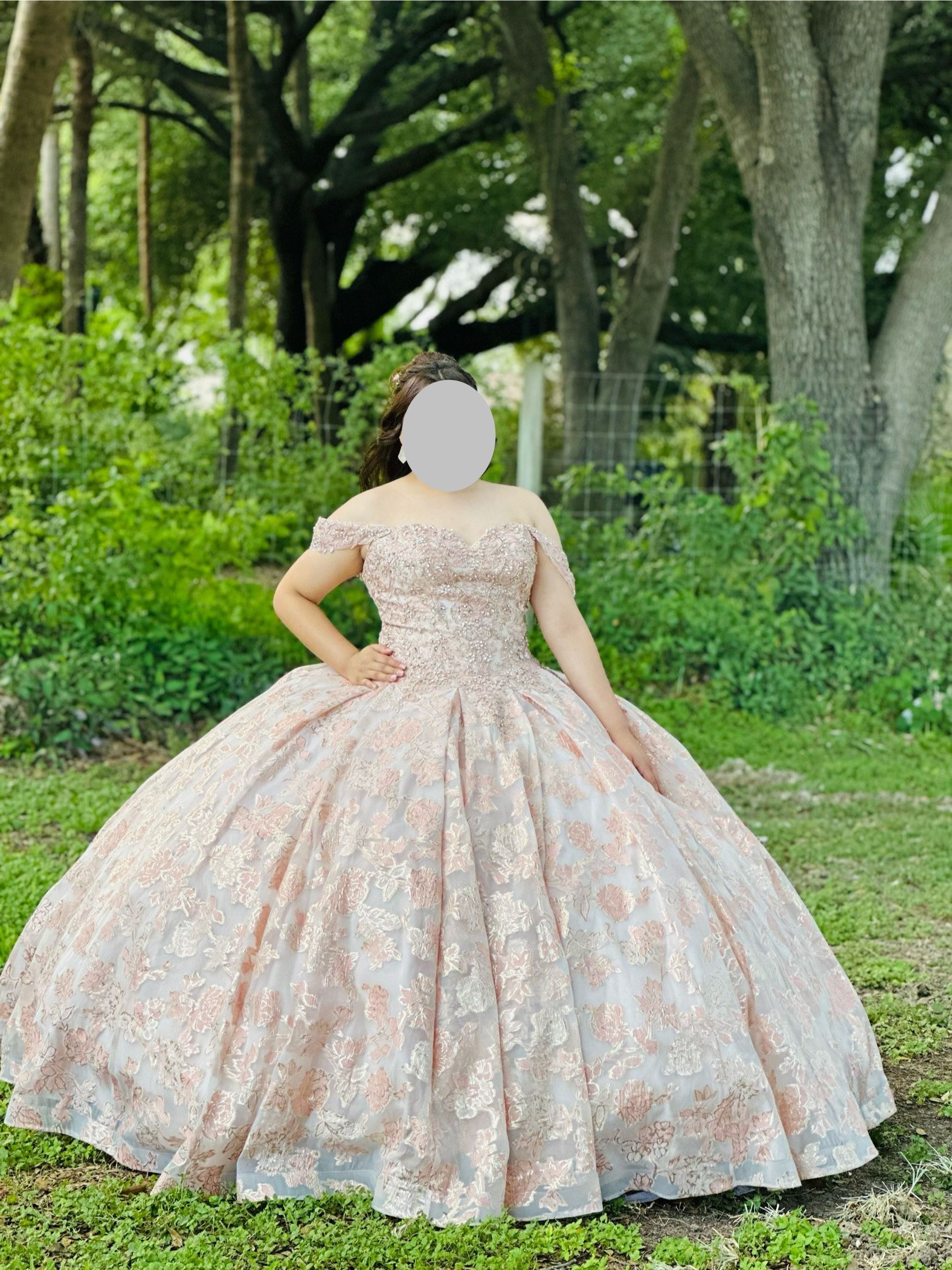 Quinceañera XV Dress For sale 