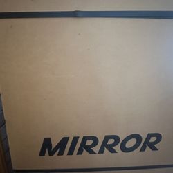 Mirror Home Gym
