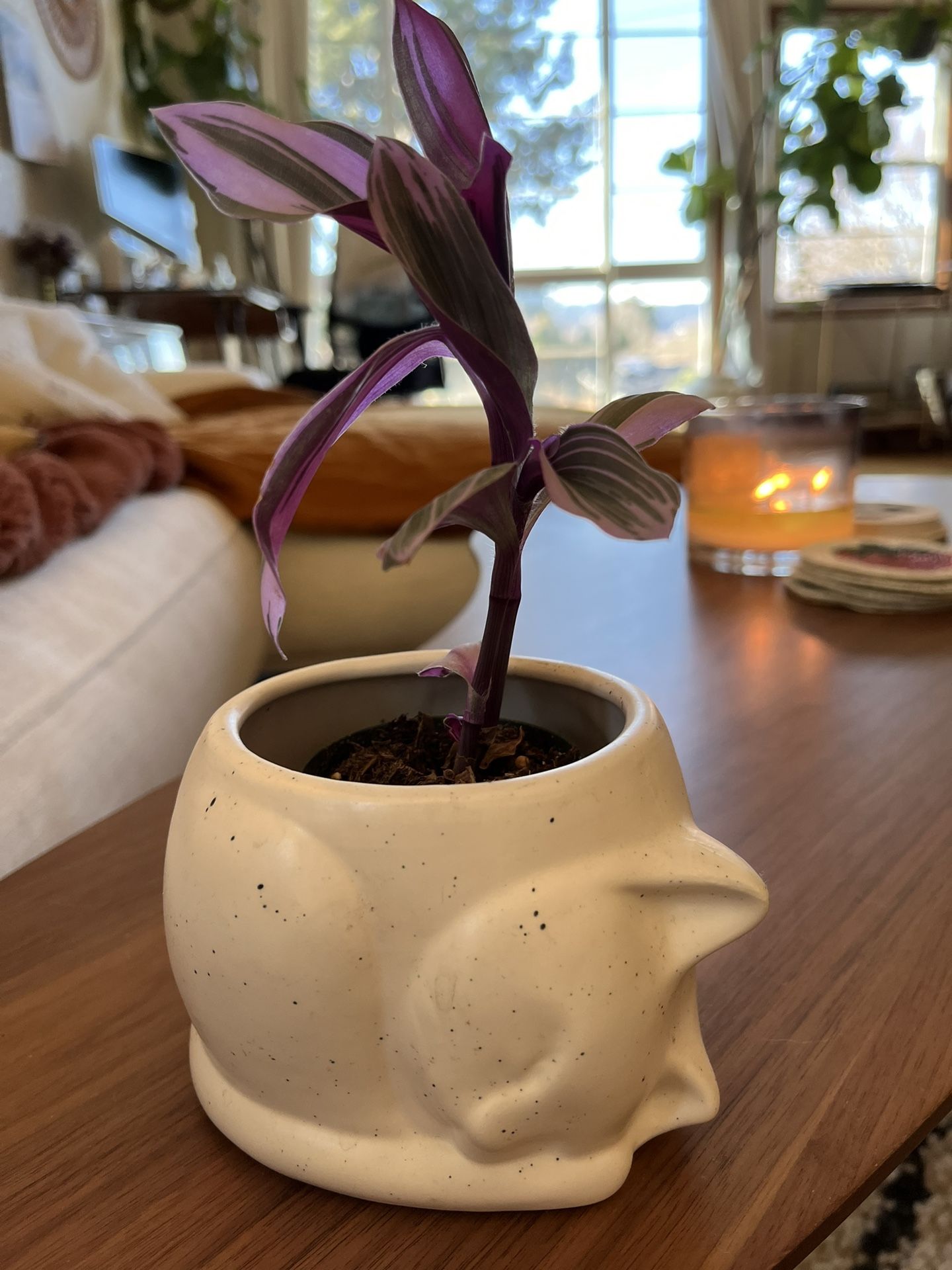 Urban Outfitters Cat Planter Pot