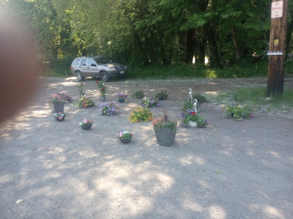 Hanging Flower Pots And Roses And Flower Pots