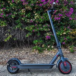 Electric scooter