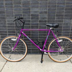 Fuji Nevada 26" 21-Speed City/Commuter/Road Bike Hybrid - Near NEW! - Light 17" Frame - Specialized Cup Holder - Comfort Seat - Tuned (MSRP $400)

