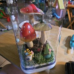 Jumping Spider Enclosure