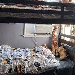 Bunk Beds With Drawer 