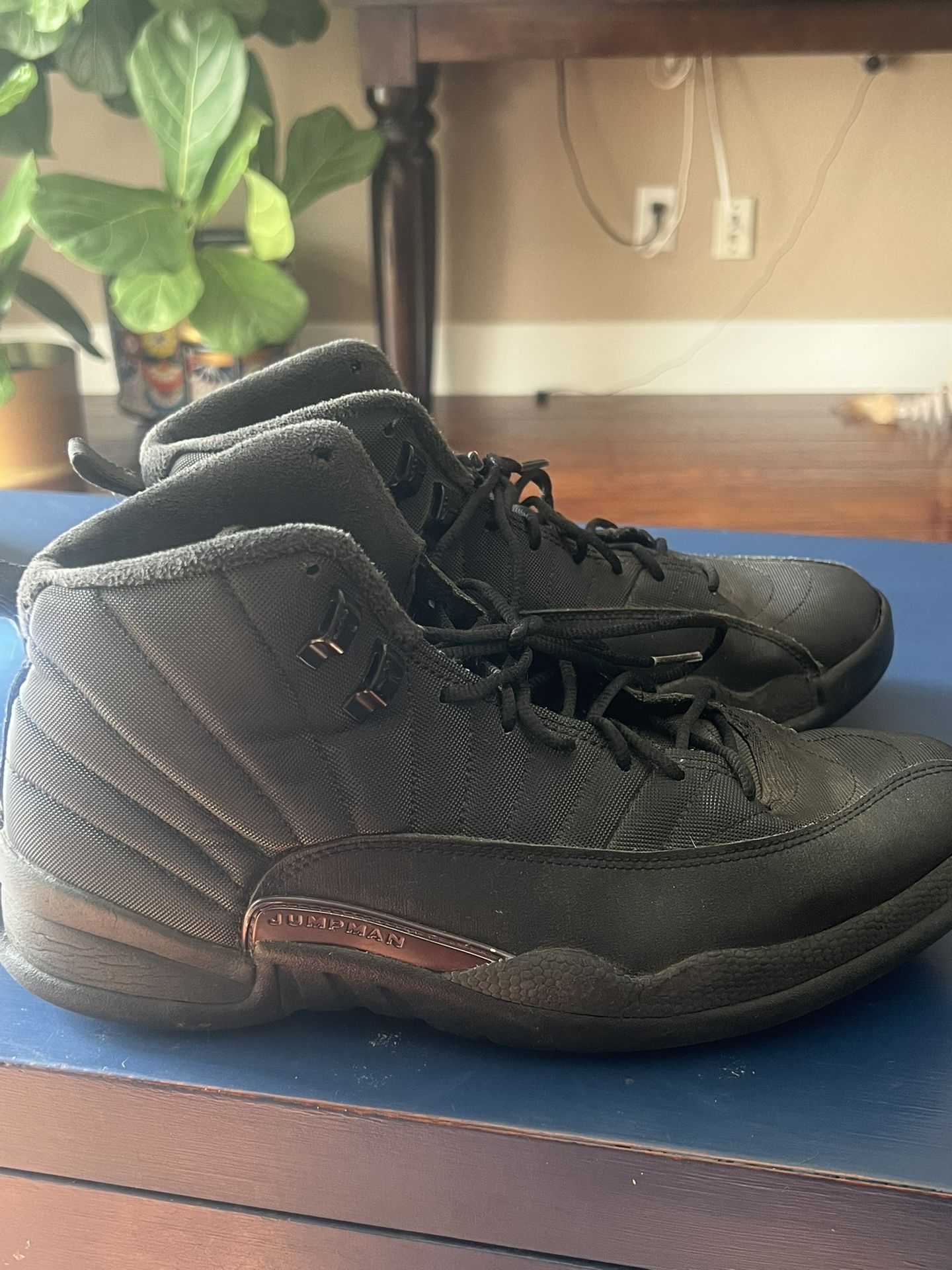 Men’s Jordans Jumpman 12 Retro Winterized Triple Black Size 10