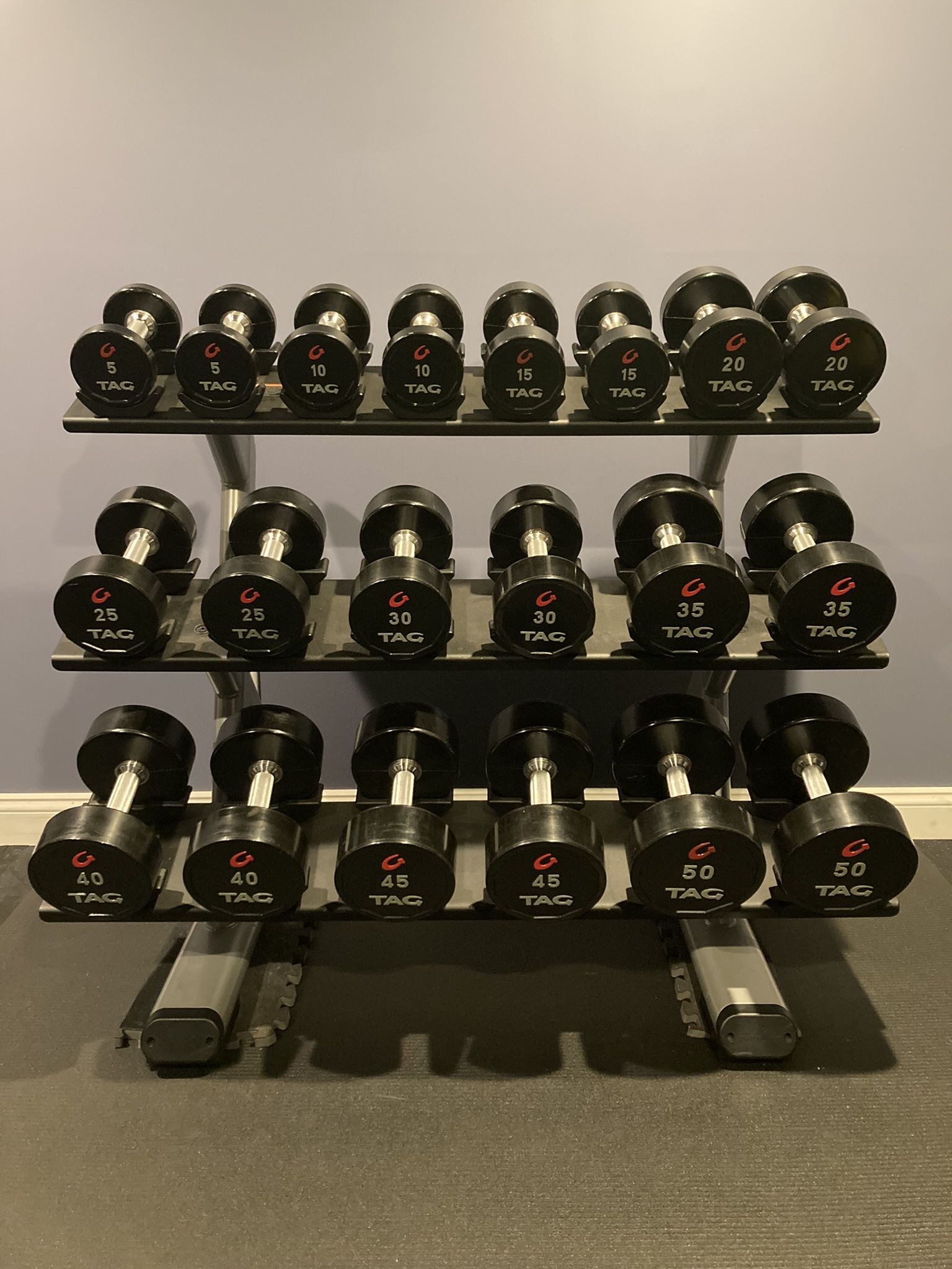 TAG Urethane Dumbbells Complete 5-50 Lb Set With 3-tier Precor Rack - Retails for $4,000