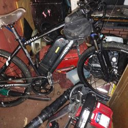 e Bike