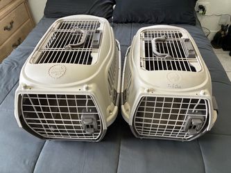 Whisker City Pet Carriers – Set of 2