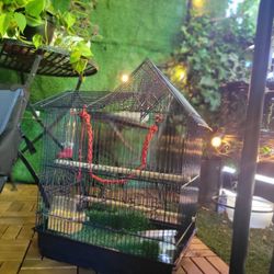 Bird Cage 