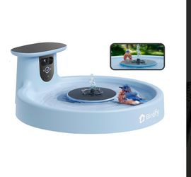 Bird Bath with Camera