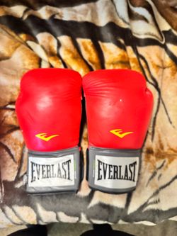 Everlast Red Boxing Gloves