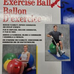 Exercise Ball And Weighted Blanket New 