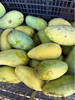 Mangos, Manila super sweet