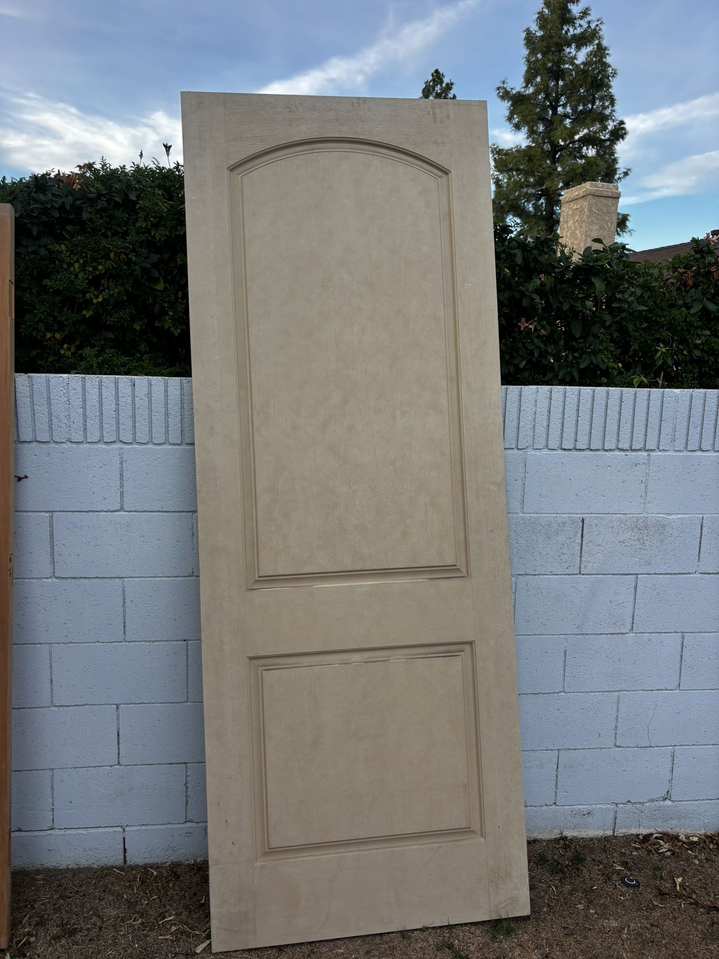 Fiber Glass Front Door/Puerta Frontal De Fibra De Vidrio 