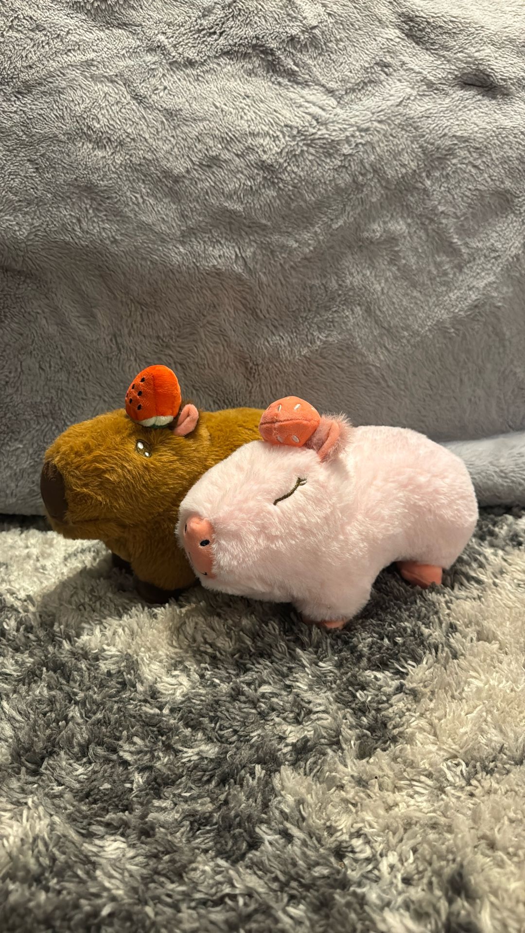 Strawberry Capybara Plushie Duo