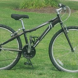 RALEIGH EVA - MOUNTAIN BIKE - SMALL FRAME - TEENAGER OR ADULT - TUNED - READY TO GO