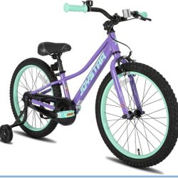 JOYSTAR NEO 20 Inch Kids Bike for Ages 6-10 Years Old Boys & Girls, 20 Inch 