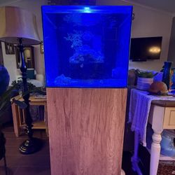 Waterbox 20 All In One Aquarium