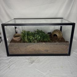 Tarantula Enclosure Microwilderness Missing Key
