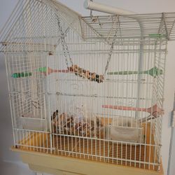 Bird Cage With Hanging Stand