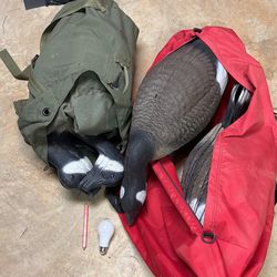 Goose decoys