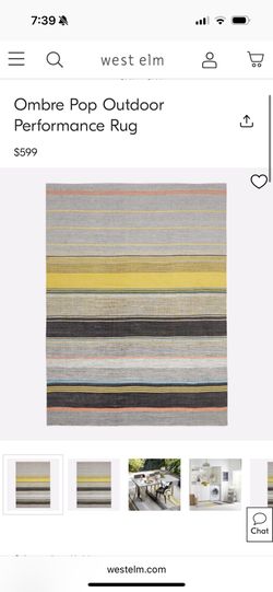 West Elm Outdoor Rug 