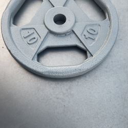 10lbs standard weights