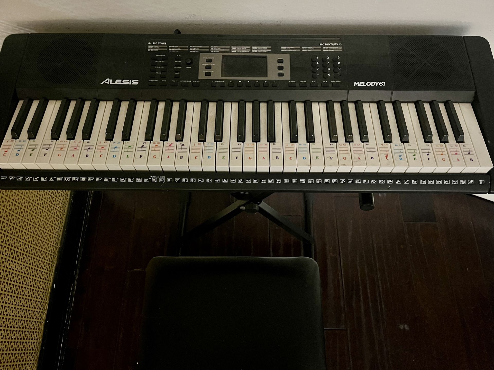 Electric Keyboard Piano